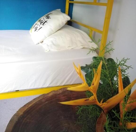 اتاق استاندارد, Hostal & Café Travelers