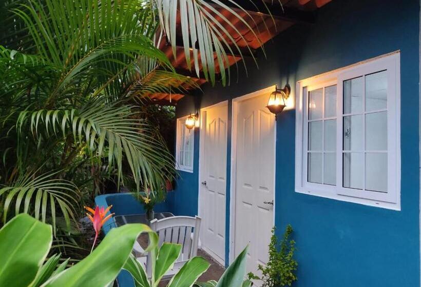 اتاق استاندارد با تراس, Hostal & Café Travelers