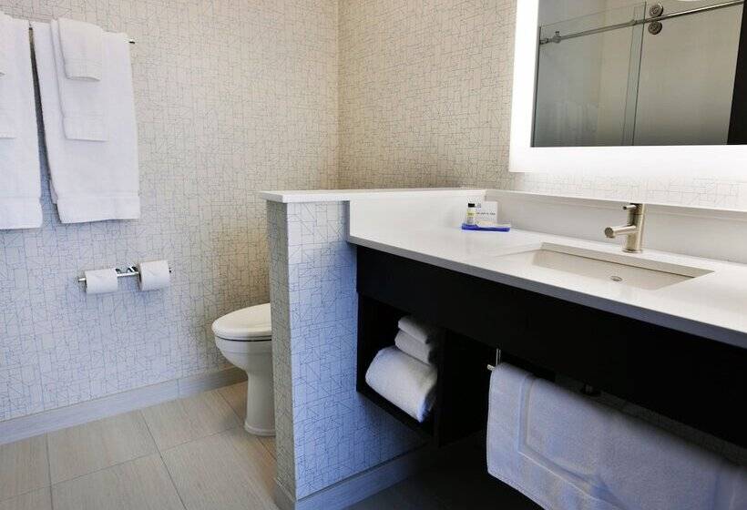 اتاق استاندارد, Holiday Inn Express & Suites Jersey City   Holland Tunnel, An Ihg