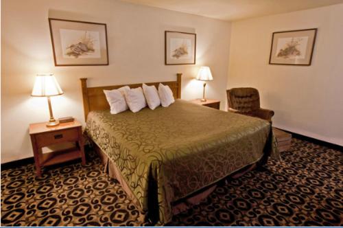 اتاق استاندارد با تخت بزرگ, Americas Best Value Inn Roosevelt Ballard