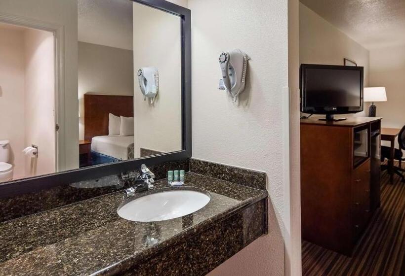 اتاق استاندارد با تخت بزرگ برای معلولان, Best Western Capital City Inn