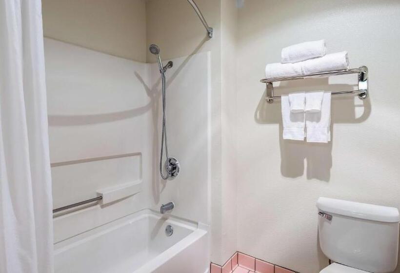 اتاق استاندارد با تخت بزرگ, Best Western Capital City Inn