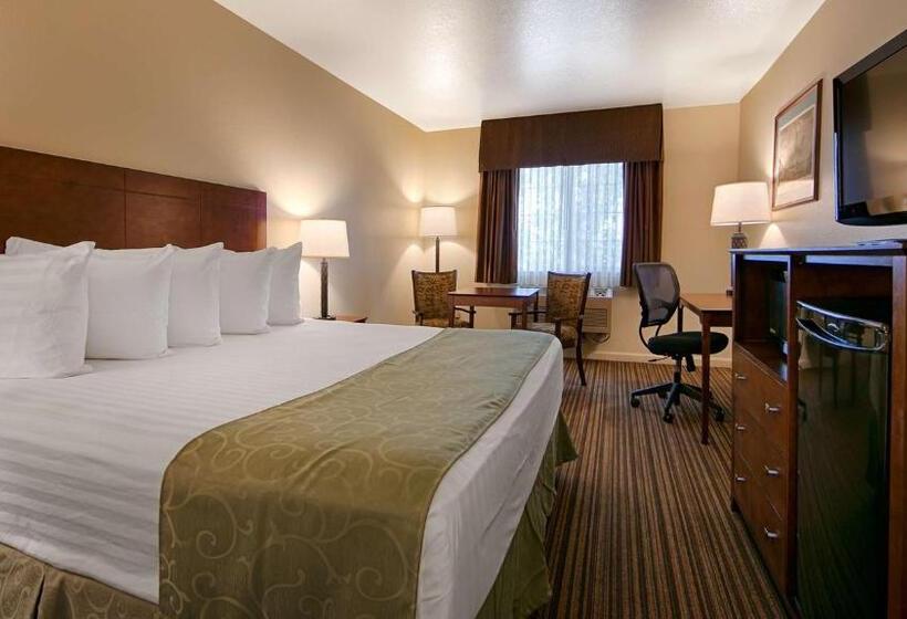 اتاق استاندارد با تخت بزرگ, Best Western Capital City Inn