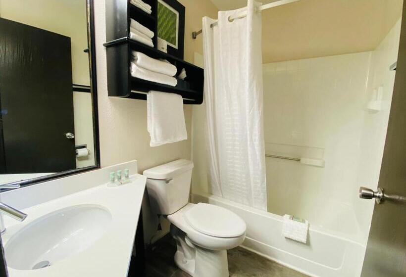 اتاق استاندارد با تخت بزرگ, Best Western Edinburgh/columbus