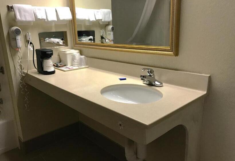 Standard Room Adapted for people with reduced mobility, Best Western Inn And Suites