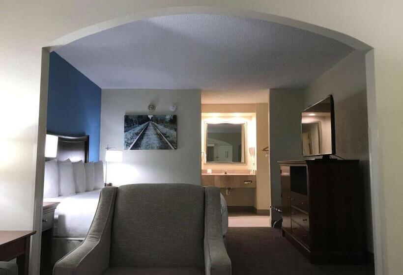 اتاق استاندارد با تخت بزرگ, Best Western Inn & Suites Monroe