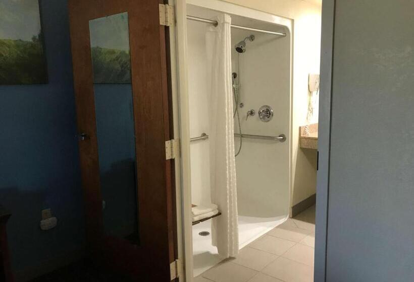اتاق استاندارد با تخت بزرگ برای معلولان, Best Western Inn & Suites Monroe