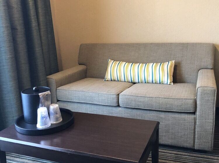 استودیوی استاندارد, Palm Tree Club Miami