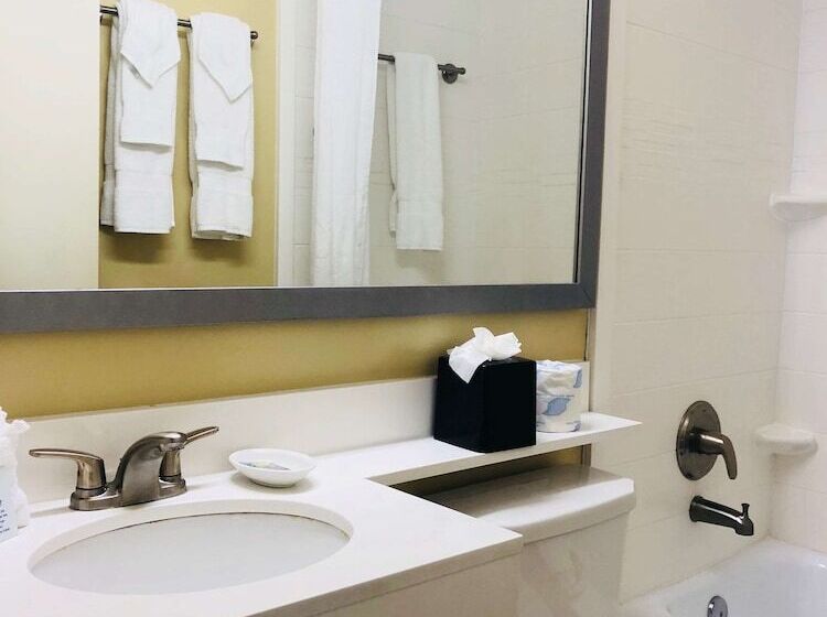 استودیوی استاندارد, Palm Tree Club Miami
