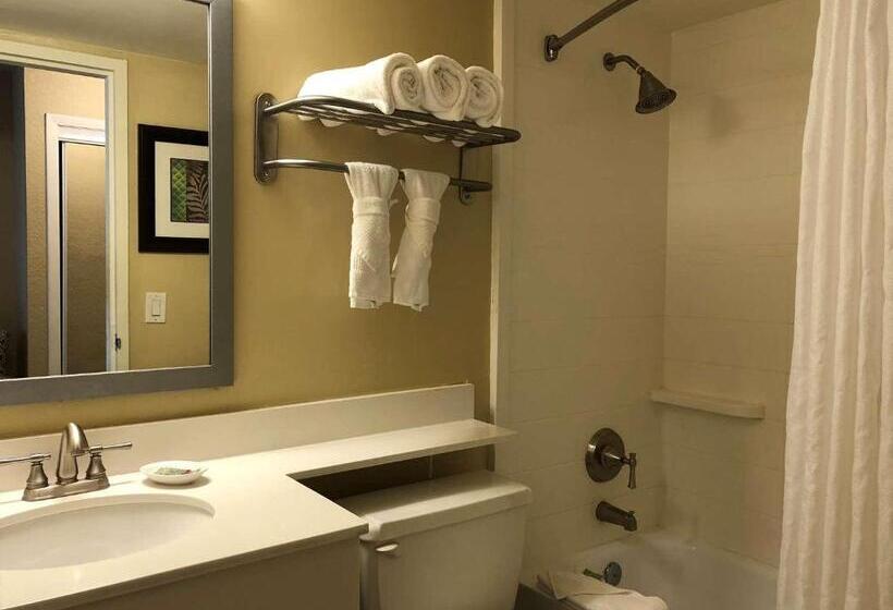 اتاق استاندارد با تخت بزرگ, Palm Tree Club Miami