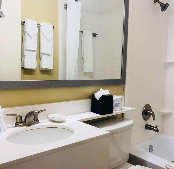 استودیوی استاندارد, Palm Tree Club Miami