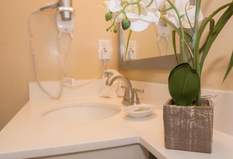 سوئیت با وان آب گرم, Palm Tree Club Miami