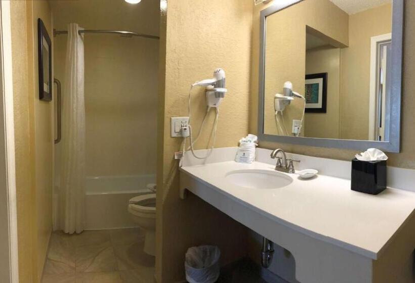 اتاق استاندارد با تخت بزرگ برای معلولان, Palm Tree Club Miami