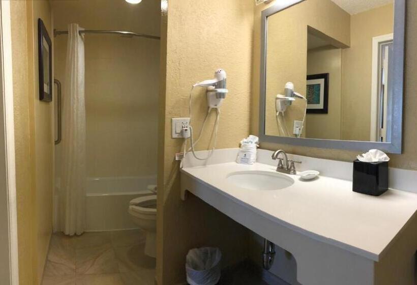 سوییت جونیور, Palm Tree Club Miami