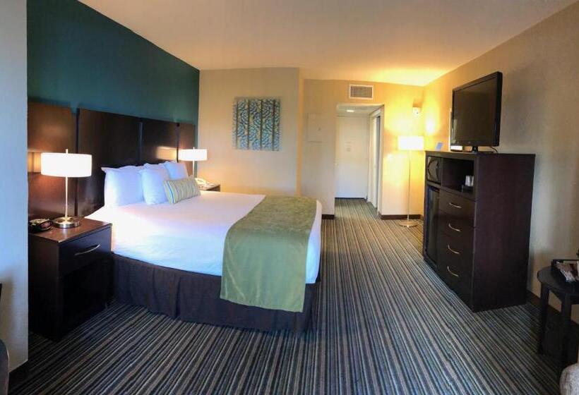 سوییت جونیور, Palm Tree Club Miami
