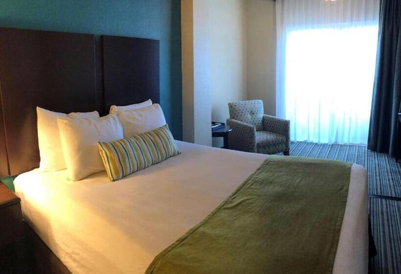 سوییت جونیور, Palm Tree Club Miami