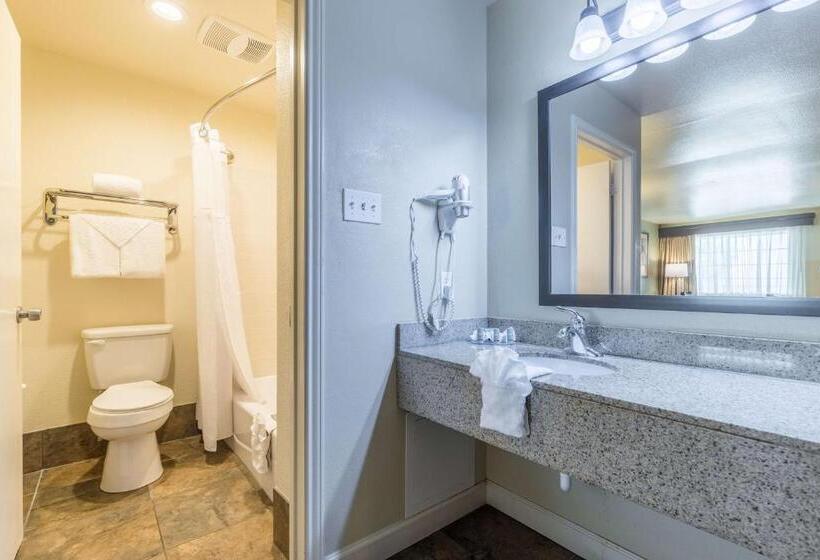 带大床的标准间, Best Western Padre Island