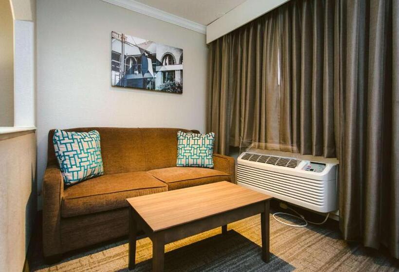 اتاق لوکس با تخت بزرگ, Best Western Pearland Inn