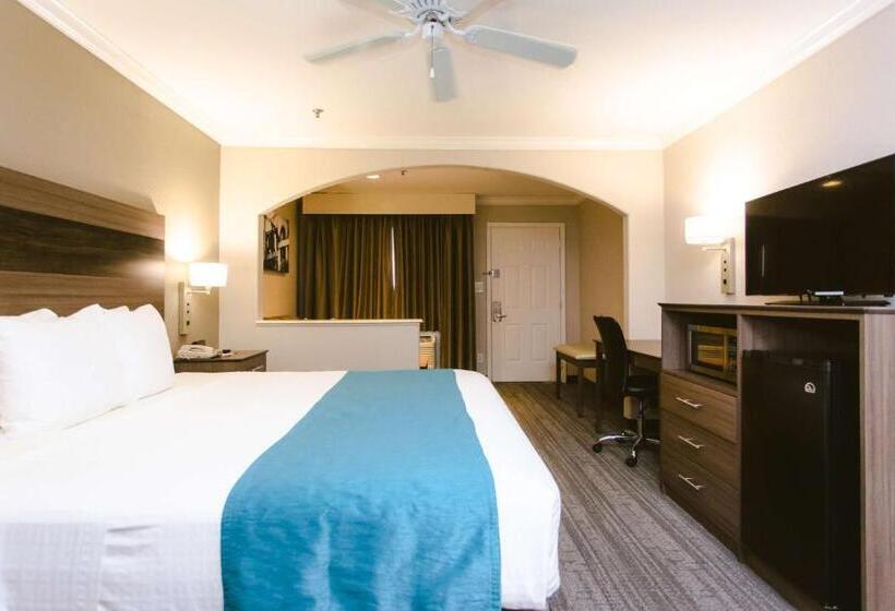 اتاق لوکس با تخت بزرگ, Best Western Pearland Inn