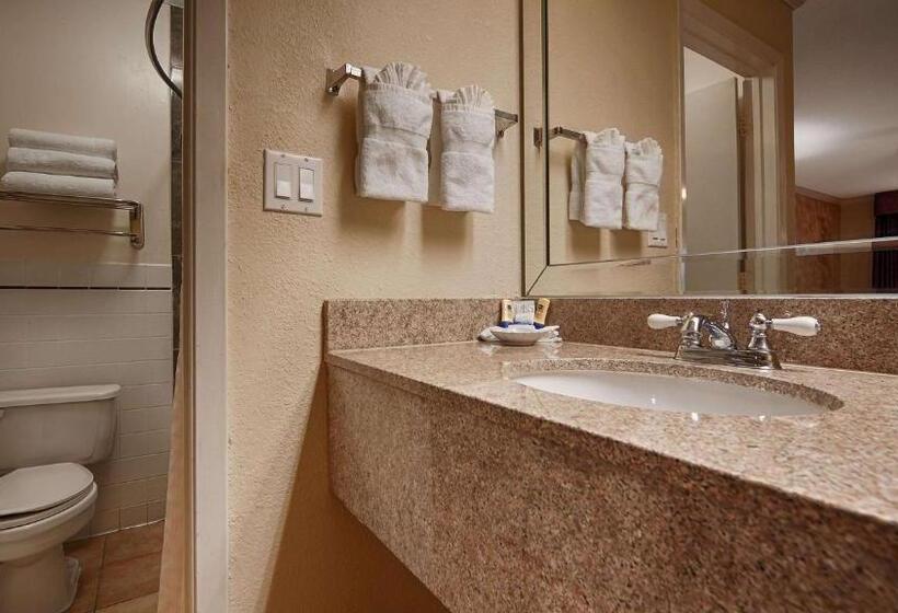 اتاق استاندارد با تخت بزرگ, Best Western Pearland Inn