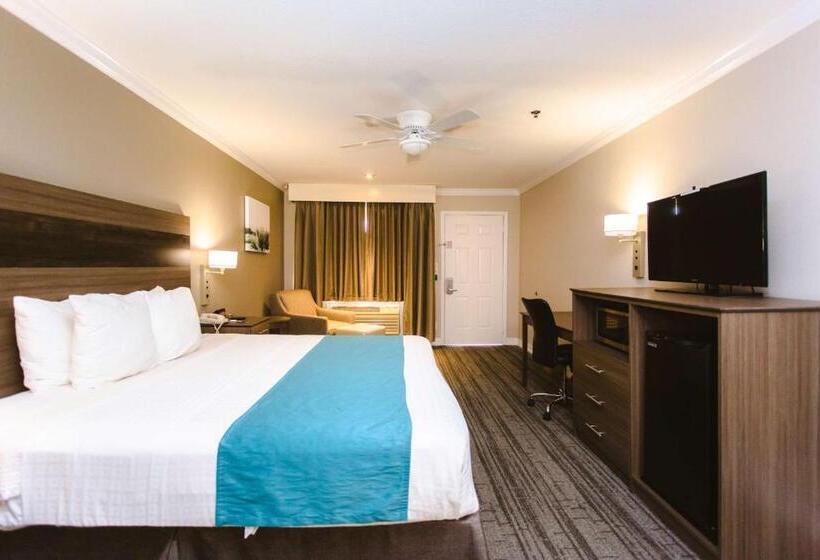 Standard Room King Bed Adapted for people with reduced mobility, Best Western Pearland Inn