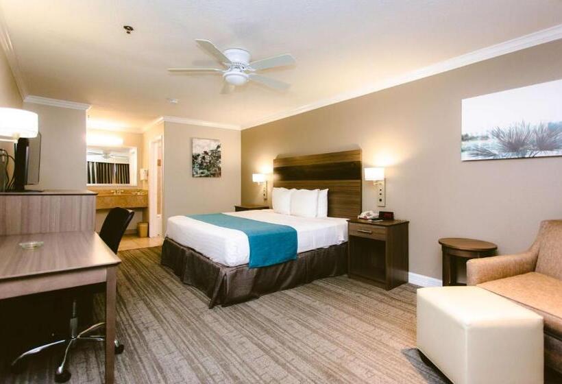 Standard Room King Bed Adapted for people with reduced mobility, Best Western Pearland Inn