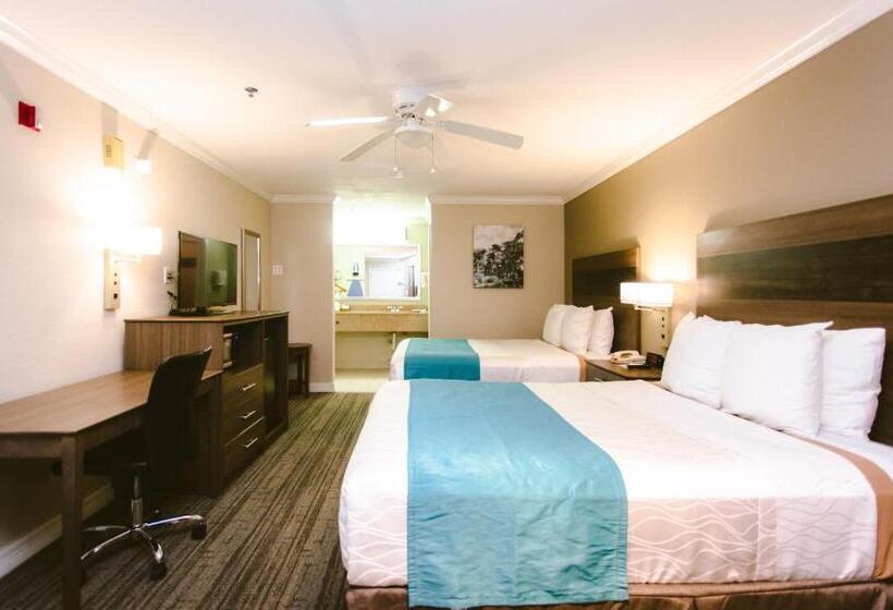 Standard Room Queen Bed Adapted for people with reduced mobility, Best Western Pearland Inn