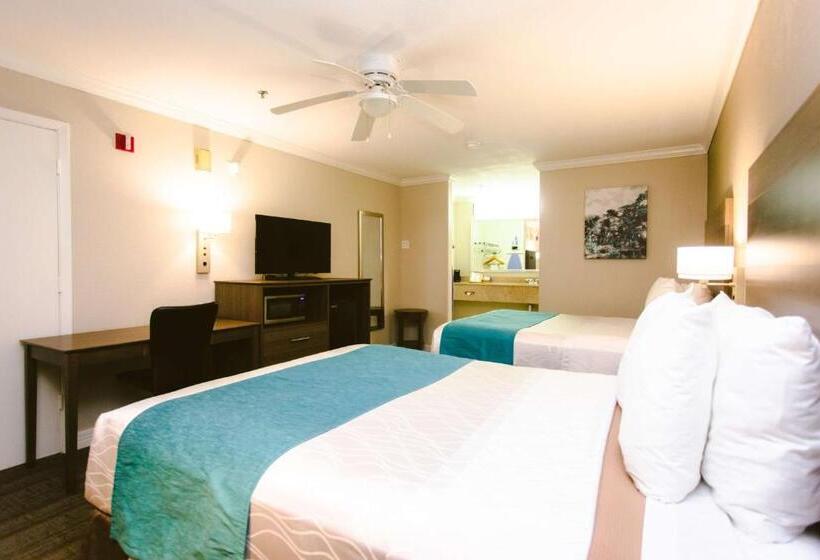 Standard Room Queen Bed Adapted for people with reduced mobility, Best Western Pearland Inn