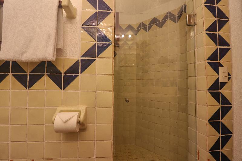 اتاق استاندارد با تخت بزرگ, Best Western Plus North Canton Inn & Suites