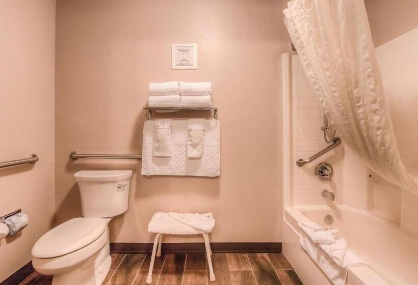 Standard Room Adapted for people with reduced mobility, Best Western Plus Yakima