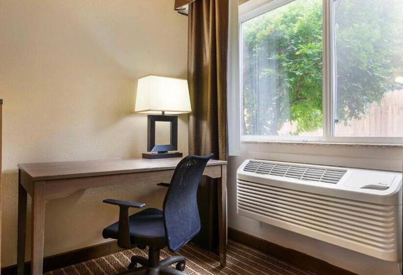 اتاق استاندارد با تخت بزرگ برای معلولان, Best Western Plus Yakima