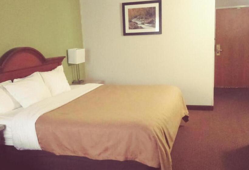 Standard Szoba King Size Bed, Clarion Inn I94 Near Expo Center