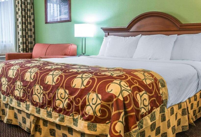 اتاق استاندارد با تخت بزرگ, Clarion Inn I94 Near Expo Center