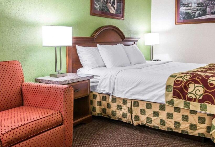 Standard Szoba King Size Bed, Clarion Inn I94 Near Expo Center