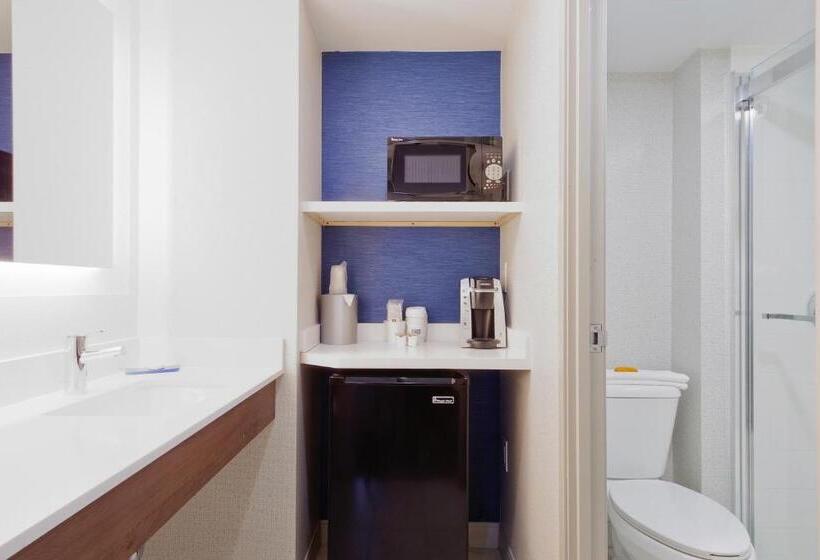 Standard Room King Size Bed, Holiday Inn Express & Suites Phoenix – Tempe