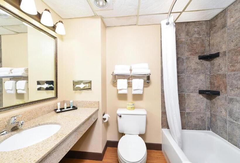 Номер Стандарт, Revel Hotel Minot   Surestay Collection By Best Western