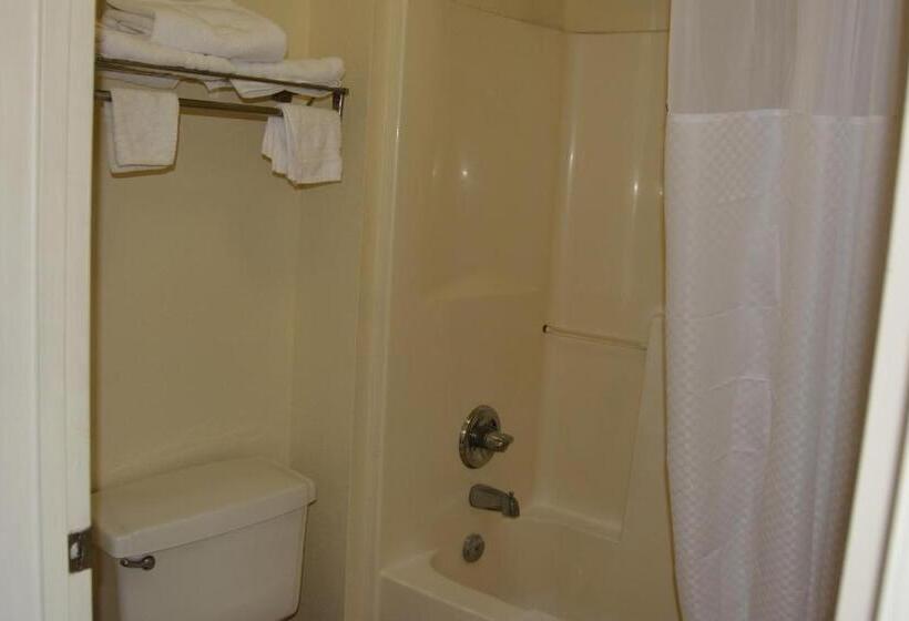 اتاق استاندارد با تخت بزرگ, Travelodge By Wyndham Montgomery East