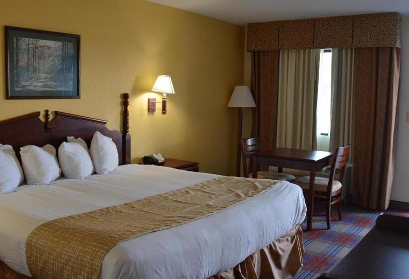 اتاق استاندارد با تخت بزرگ برای معلولان, Travelodge By Wyndham Montgomery East