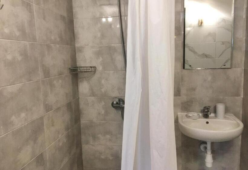 اتاق خانوادگی, Guest House Sotni