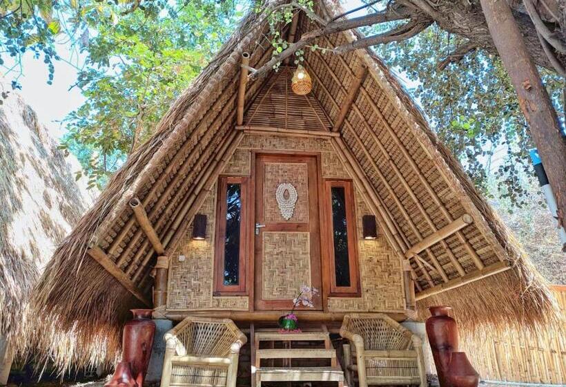اتاق اکونومی, Gili Kampoeng