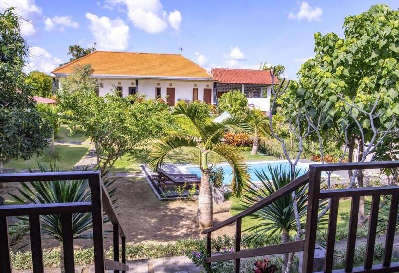 سوییت, The Pande Hill Homestay