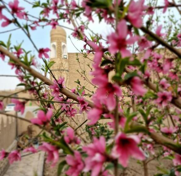 اتاق استاندارد سه نفره, Guest House Khiva Boyjon Ota