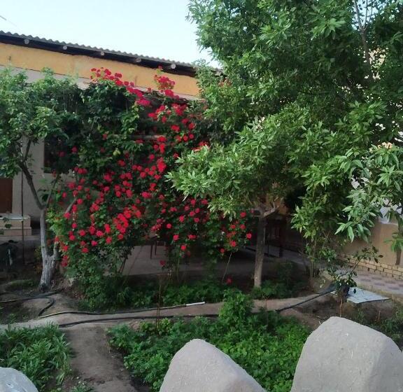 اتاق لوکس با چشم‌انداز باغ, Guest House Khiva Boyjon Ota