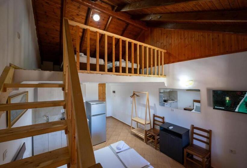آپارتمان دوبلکس 1 خوابه, Apart Hotel Alex