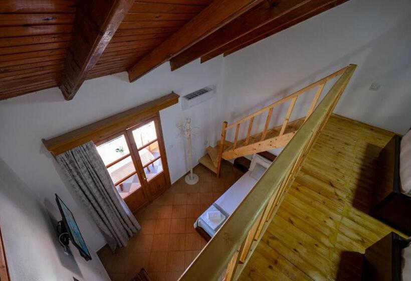 آپارتمان دوبلکس 1 خوابه, Apart Hotel Alex