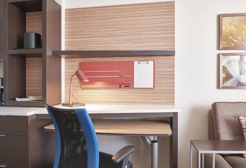 استودیو استاندارد با تخت کینگ, Towneplace Suites By Marriott Medicine Hat