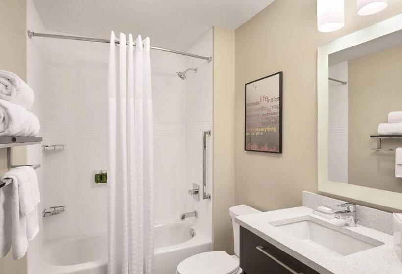 استودیوی استاندارد با چشم‌انداز شهر, Towneplace Suites By Marriott Medicine Hat