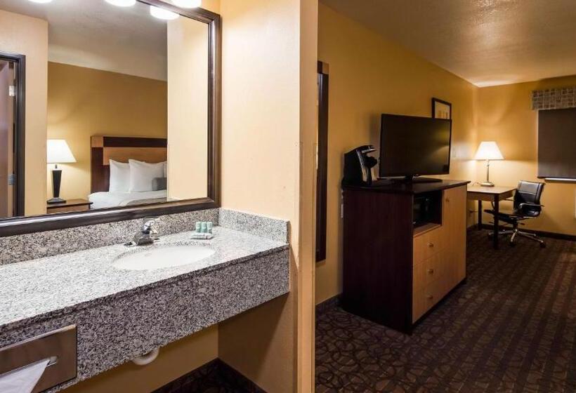 اتاق استاندارد با تخت بزرگ, Best Western Sawtooth Inn And Suites