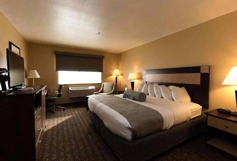 Standard Room King Bed Adapted for people with reduced mobility, Best Western Sawtooth Inn And Suites