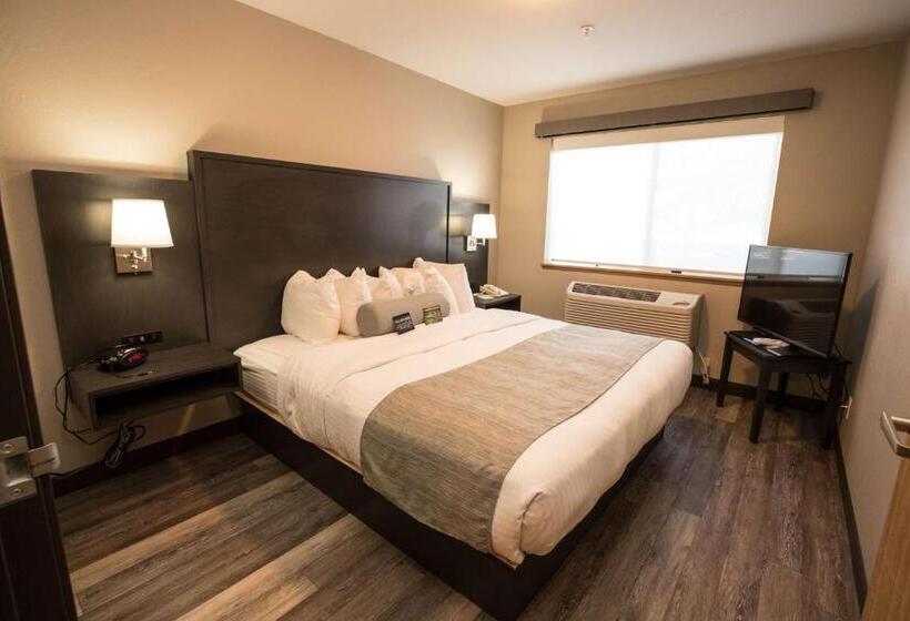 Standard Room King Bed Adapted for people with reduced mobility, Best Western Sawtooth Inn And Suites